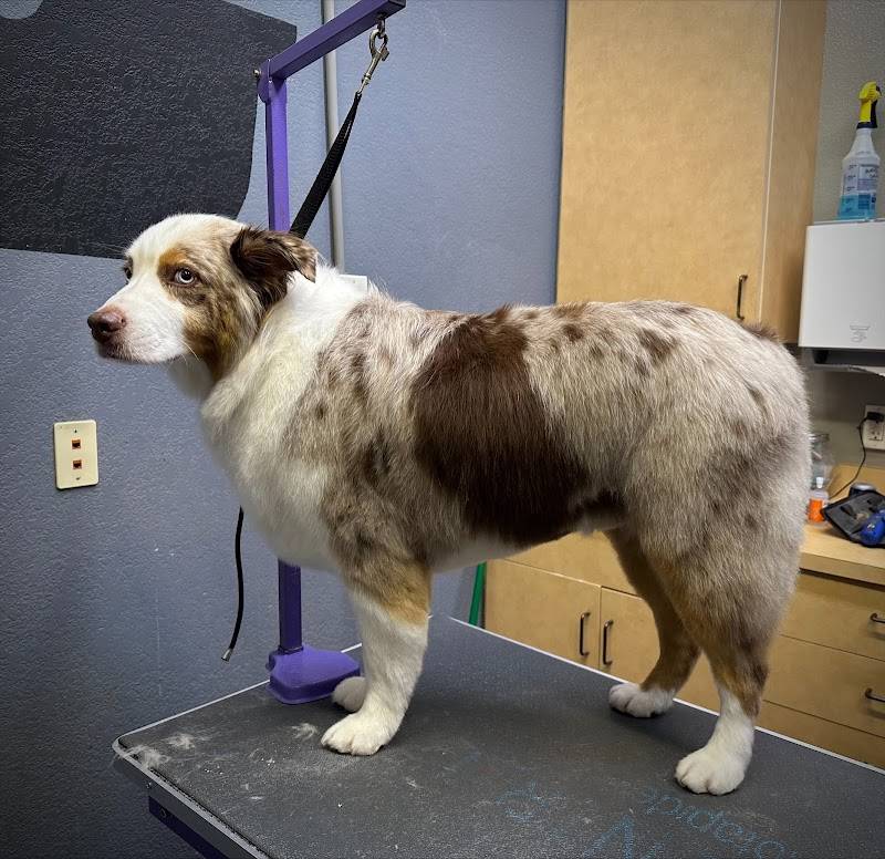VCA North Idaho Animal Hospital