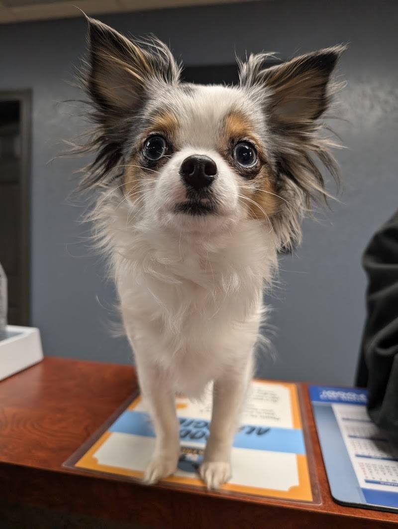 VCA North Idaho Animal Hospital