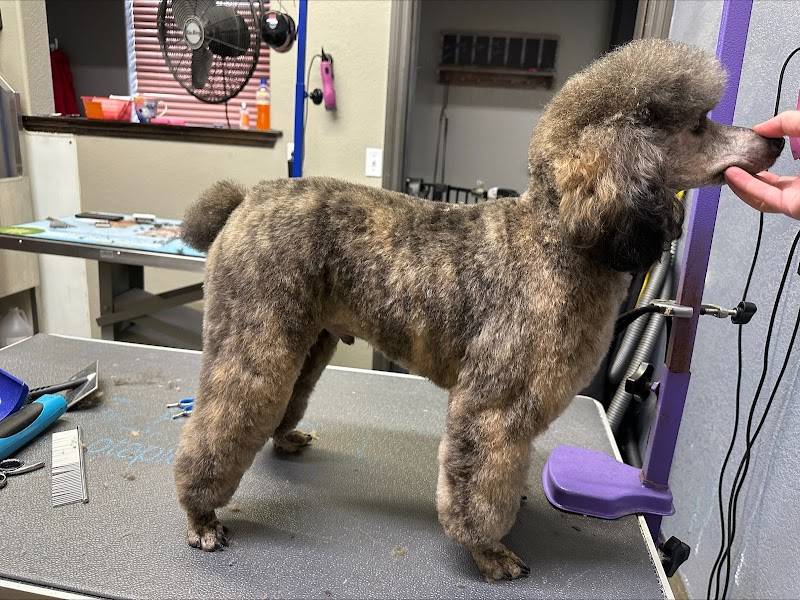 VCA North Idaho Animal Hospital
