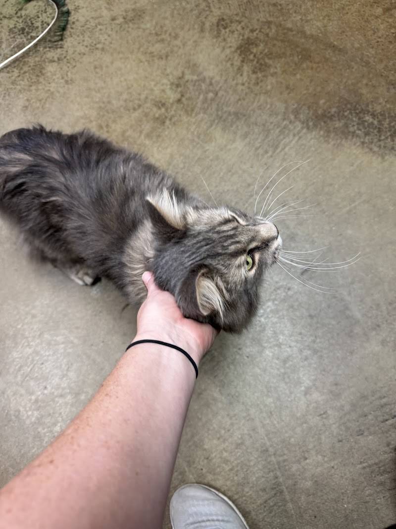 VCA North Idaho Animal Hospital